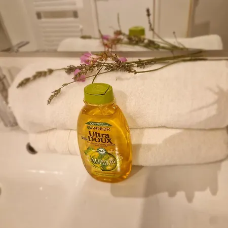 Luxury Jacuzzi לינה וארוחת בוקר קונפלן-סנט-הונורין